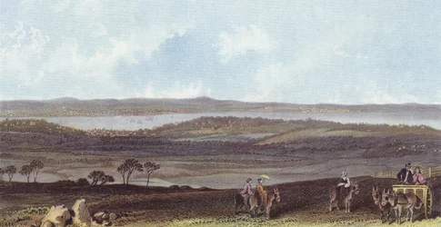 View from Ashey Down